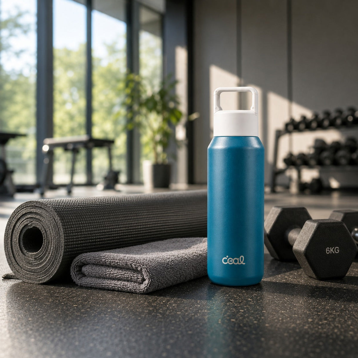 GYM & FITNESS